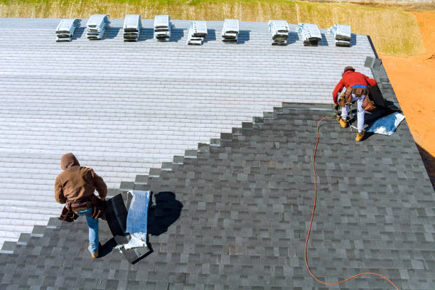 Best Roof Gutter Cleaning  in Ladera, CA